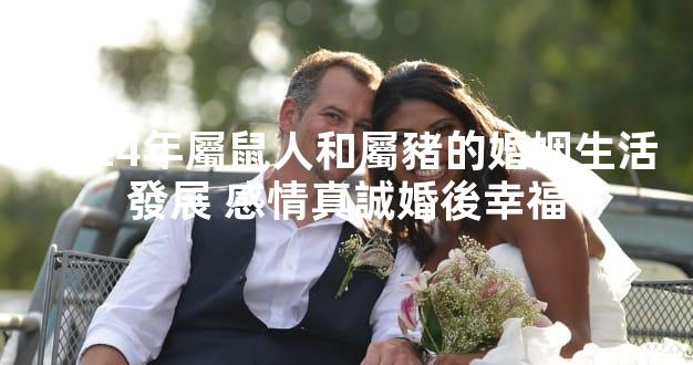 2024年屬鼠人和屬豬的婚姻生活發展 感情真誠婚後幸福